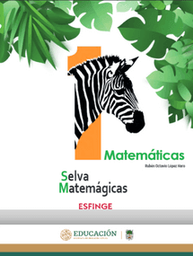 matematicas-1-editorial-esfinge